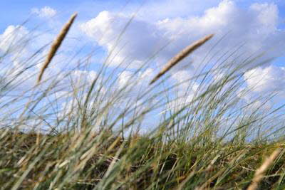 Impressionen von Borkum (13)