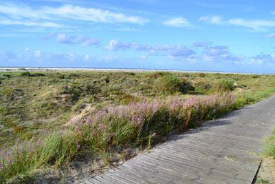 Impressionen von Borkum (15)