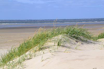 Impressionen von Borkum (2)