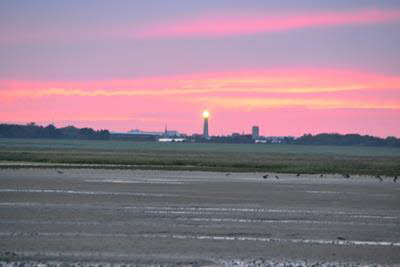 Impressionen von Borkum (25)