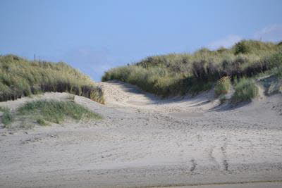 Impressionen von Borkum (3)