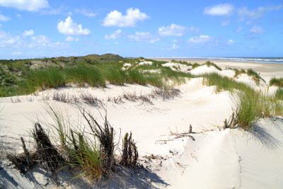 Impressionen von Borkum (31)