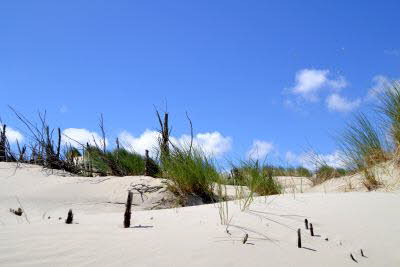 Impressionen von Borkum (33)