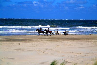Impressionen von Borkum (35)