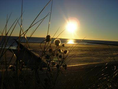 Impressionen von Borkum (8)