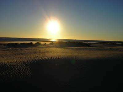 Impressionen von Borkum (9)